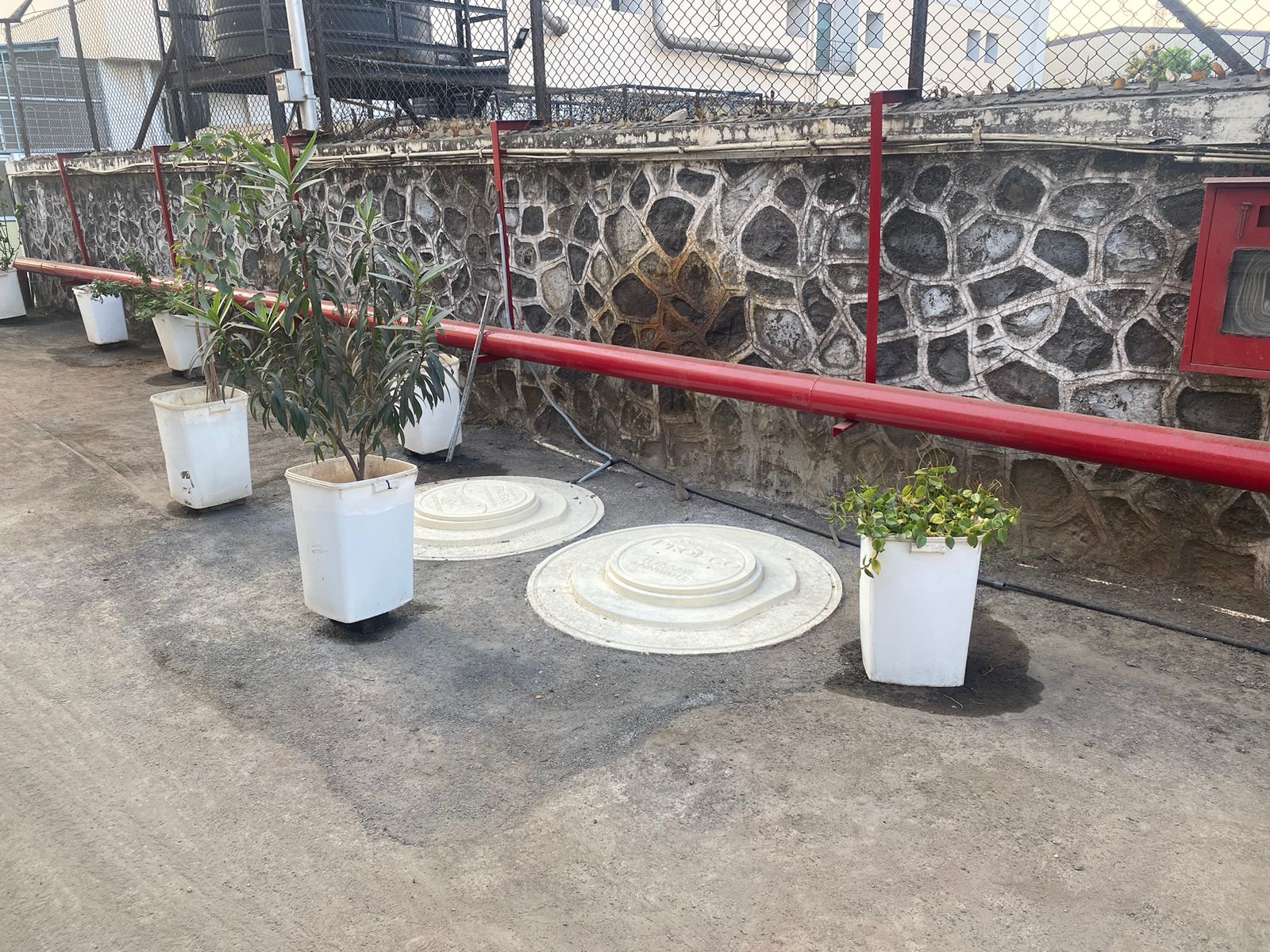 Medispray Laboratories field work 3